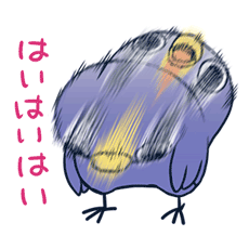 めんトリ